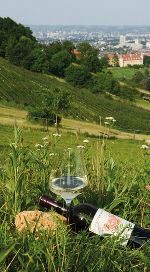 Steirische Weinberge: Wein und Glas im Blumenfeld, im Hintergrund Stadtlandschaft unter blauem Himmel.