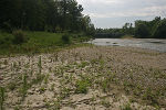 Spitze der Insel © Umweltanwaltschaft Spitze der Insel © Umweltanwaltschaft