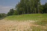 Anstieg der Landzunge bis zum Waldrand © Umweltanwaltschaft Anstieg der Landzunge bis zum Waldrand © Umweltanwaltschaft