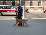 Der Hund mit dem Diensthundführer 