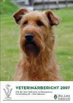 2007 