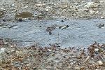 Wasserwirtschaft © bbl gu Wasserwirtschaft © bbl gu