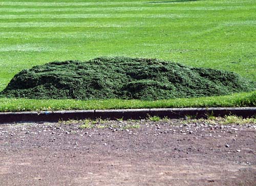 Naturschutz: Problem Rasenschnitt - Verwaltung - Land Steiermark