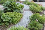 Kräutergarten © SE Kräutergarten © SE