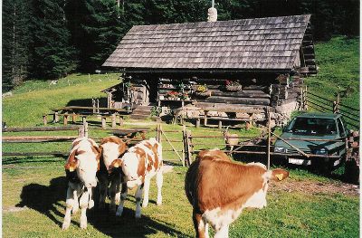 Alm in den Ennstaler Alpen © S. Berger Alm in den Ennstaler Alpen © S. Berger