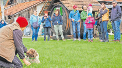 Trüffelwanderung © KOFLER Trüffelwanderung © KOFLER
