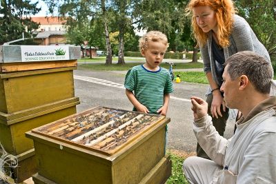 Bienenstöcke werden erklärt © NaturErlebnisPark Bienenstöcke werden erklärt © NaturErlebnisPark