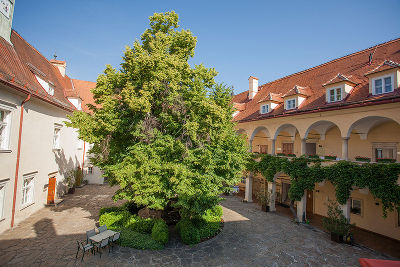 Schlosshof © Hofer-Lukic Schlosshof © Hofer-Lukic