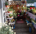 Wohlfühlen auf Balkonien © Edith Reiterer Wohlfühlen auf Balkonien
