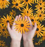 Blütenpracht für dein Sommerfest © GROWI Blütenpracht für dein Sommerfest