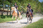 Lehrgang Pferdewirtschaft © LFS Grottenhof