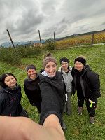 Apfelernte © FS Vorau