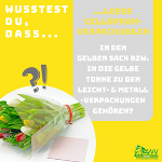 Infoblatt "Wusstest du, dass...? 