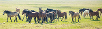 Pferdeherde auf grüner Wiese. © hiv_360 - Magnific.com