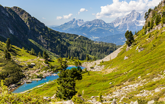 Berg- und Naturwacht © gettyimages.at/photoflorenzo