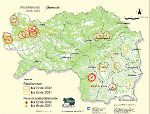 Verbreitung des Feuerbrand in der Steiermark 