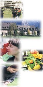 Die Schüler in der Natur 