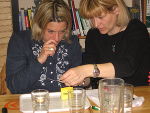 Workshop "Elektrizität begreifen", März 2010 © Unternehmensberatung BAB GmbH Workshop "Elektrizität begreifen", März 2010