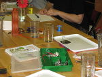 Workshop "Elektrizität begreifen", März 2010 © Unternehmensberatung BAB GmbH Workshop "Elektrizität begreifen", März 2010