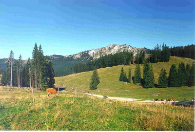 Großbodenalm 