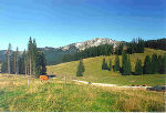 Großbodenalm  