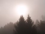 Betriebsausflug 2011