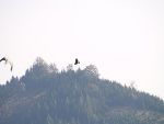 Betriebsausflug 2011