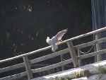 Betriebsausflug 2011