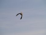 Betriebsausflug 2011