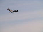 Betriebsausflug 2011