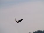 Betriebsausflug 2011