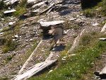 Betriebsausflug 2011
