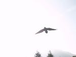 Betriebsausflug 2011