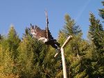 Betriebsausflug 2011