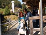 Betriebsausflug 2011