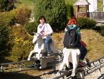 Betriebsausflug 2011