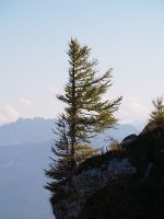 Betriebsausflug 2011