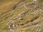 Betriebsausflug 2011