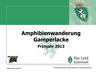 Amphibienwanderung Gamperlacke