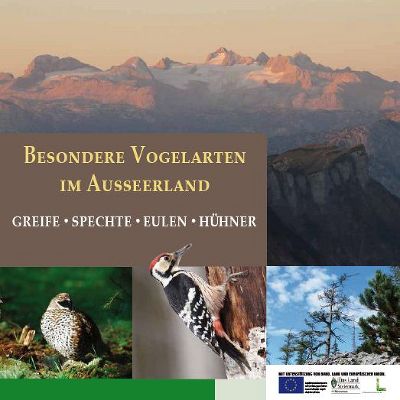 Vogelarten