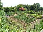 Bauerngarten © Versuchsstation Wies