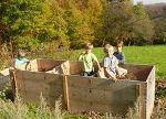 Hochbeet nachfüllen und bepflanzen Hochbeet nachfüllen und bepflanzen