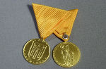 Feuerwehrmedaille Gold