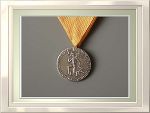 Tiroler Medaille Feuerwehr und Rettung Silber