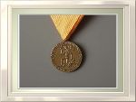 Tiroler Medaille Feuerwehr und Rettung Bronze