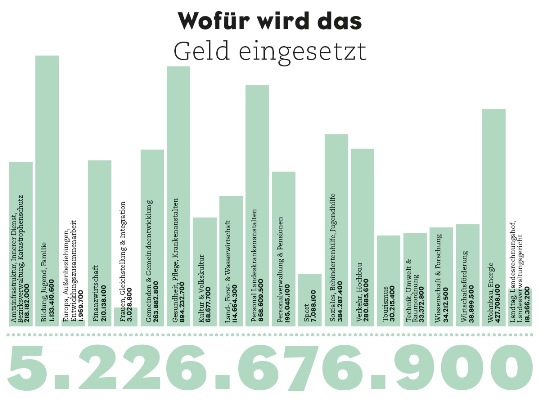 Wofür das Geld eingesetzt wird