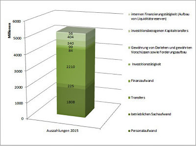 Auszahlungen 2015