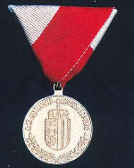 Rettungs-Dienstmedaille Silber