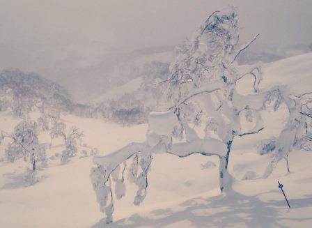 Das neue Jahr sieht mich freundlich an, und ich lasse das alte mit seinem Sonnenschein und Wolken ruhig hinter mir. (Johann Wolfgang von Goethe) © Schmuck