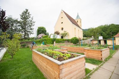 Garten © Hofer-Lukic Garten © Hofer-Lukic